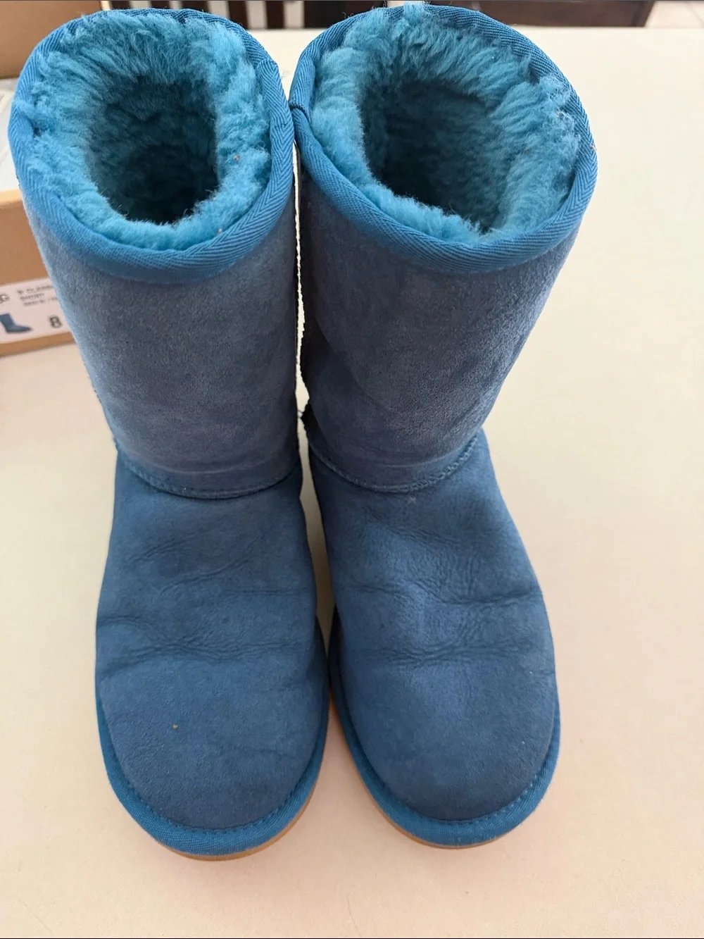 UGG Women's Mid-Calf Boot in Blue Suede